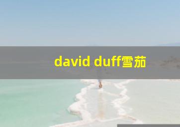 david duff雪茄